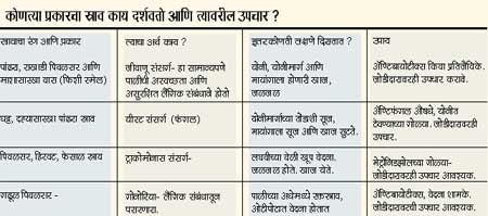 http://www.loksatta.com/wp-content/uploads/2014/12/Untitled-164.jpg
