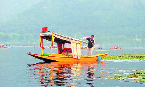 काय निवडायचे आपण?