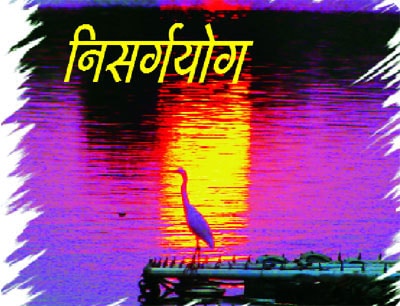 वनातलं मनातलं :निसर्गयोग