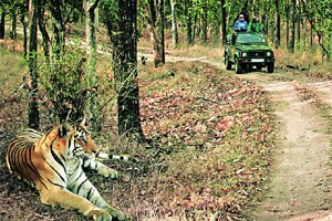 राष्ट्रीय उद्याने, अभयारण्यातील गावांच्या पुनर्वसनासाठी युद्धपातळीवर हालचाली