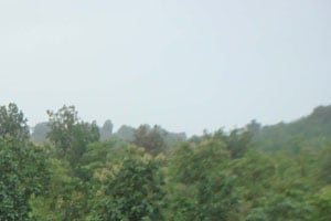 गाडगीळ अहवाल विकासाला मारकच