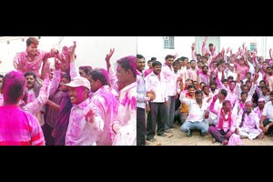 सोलापूर जिल्हय़ात ग्रामपंचायतींवर प्रस्थापितांचे वर्चस्व कायम