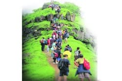 एन्जॉय