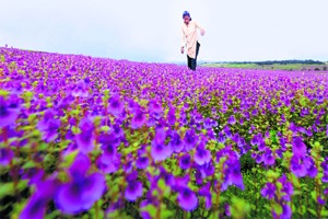 पश्चिम घाट अहवाल बदनाम करण्याचे षडयंत्र – गाडगीळ