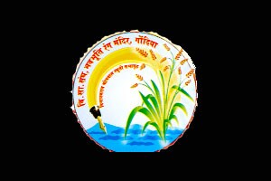 ‘जागतिकीकरणात माध्यमांनी लोकांच्या आवडी-निवडीनुसारच भाषा घडवली’