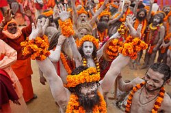 महाशिवरात्री: महाकुंभमेळ्याचा आज शेवट, ५० लाख भाविक अभ्यंगस्नान घेणार!