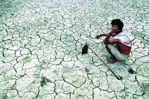 दोन महिन्यांत १२ शेतकऱ्यांची आत्महत्या
