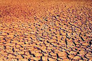 कुतूहल – जमिनीचा पोत आणि प्रत