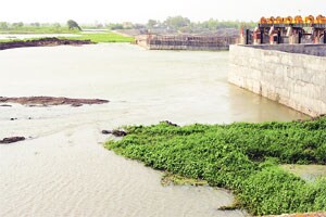नांदूरमध्यमेश्वरमधील गाळ काढण्याच्या कामात गैरव्यवहार