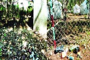 नवेगावबांध राष्ट्रीय उद्यानातील विश्रामगृह परिसरात दारूच्या बाटल्यांचा खच!