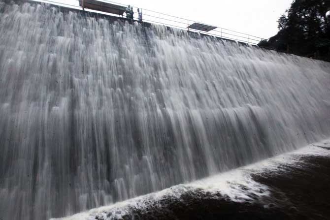 मुंबईत गेल्या काही दिवसांपासून सुरू असलेल्या पावसामुळे पवई तलावर भरून वाहू लागलाय. (छाया - प्रदीप दास)