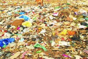 पालिकेत गोंधळाची दरुगधी!