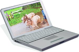 शेतजमीन खरेदी-विक्री व्यवहारात पारदर्शकता आणण्याचा प्रयोग