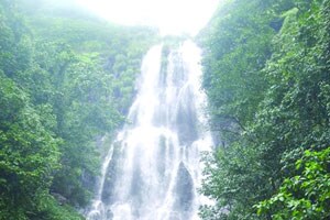 आंबोली घाटाच्या पर्यटनासाठी सुविधा देणार – नारायण राणे