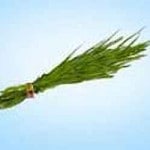 गणपतीला दुर्वा का वाहतात?