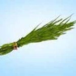 गणपतीला दुर्वा का वाहतात?