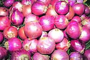 पारनेरमध्ये कांद्याचे भाव वधारले