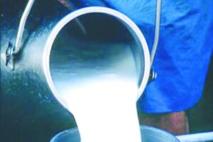 राज्यात दुधाचा दर्जा खालावला