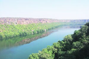 निसर्ग, विज्ञान आणि प्रजातंत्र : निसर्गा राखण्यासाठी बहरू दे ज्ञानसंपदा!