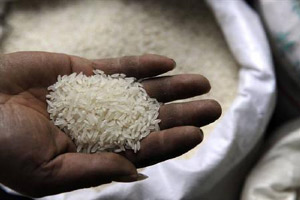 काळ्या बाजारात विक्रीचा संशय, एक लाखाचा तांदूळ पकडला