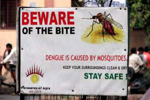 नगर रस्ता, वारजे, कोथरूडमध्ये संशयित डेंग्यू रुग्णांची संख्या अधिक