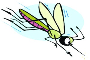 मुंबईत डेंग्यूचा आठवा बळी