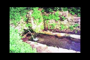 कुतूहल – सांडपाण्याचा उपयोग