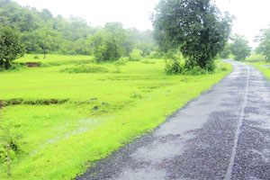 कुतूहल – शेतजमीन खरेदीपूर्वी सावधगिरी- १