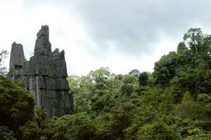 जैवविविधतेच्या जनजागृतीसाठी शुक्रवारपासून ‘जिविधा महोत्सव’