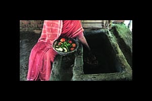 कुतूहल – फळे व भाजीपाला : साठवण