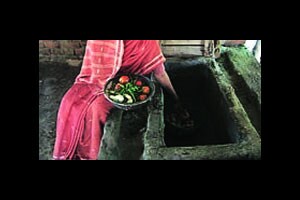 कुतूहल – फळे व भाजीपाला : साठवण