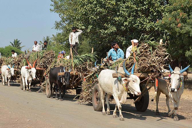 साखर कारखान्यांना बिनव्याजी ७२०० कोटींचे कर्ज