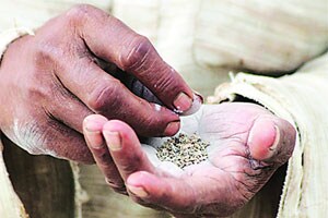 जेएनपीटीचे नवे विकास पर्व