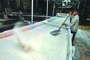 राज्याच्या अन्य भागांच्या तुलनेत विदर्भातील साखरेचा वाटा नगण्य