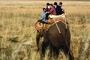 ट्रेक डायरी