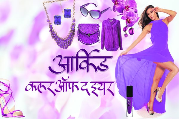 आर्किड कलर ऑफ द इयर