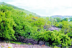 पाचशे एकर टेकडय़ांच्या निवासीकरणाचा छुपा डाव