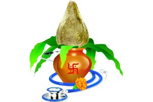 पिंगा ग बाई पिंगा…