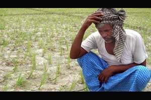 सात गारपीटग्रस्त शेतकऱ्यांच्या आत्महत्या