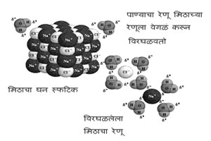 कुतूहल – पाणी ‘वैश्विक द्रावक’ का आहे?