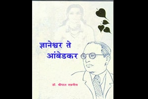 केवळ आणि निव्वळ समन्वयवादी दृष्टी