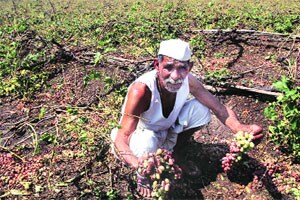 उत्पन्न तर गेले, आता कर्जाचा डोंगर
