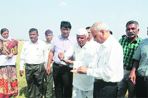 धुळे जिल्ह्य़ात केंद्रीय पथकाचा धावता दौरा