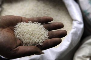 ‘वाडा कोलम’ने भाव खाल्ला
