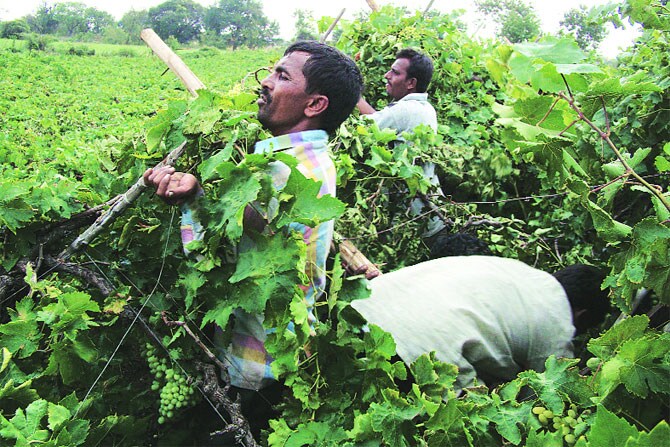 वर्तमान उद्ध्वस्त, भविष्य अंधकारमय