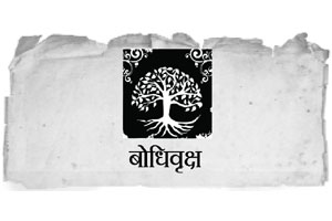 स्वमतान्धता