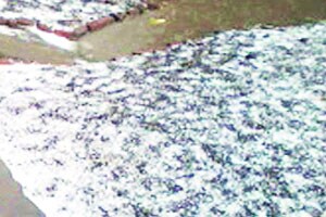 गारपीटग्रस्त शेतकऱ्यांमध्ये नुकसानभरपाईवरून आक्रोश गारपीटग्रस्त शेतकऱ्यांमध्ये नुकसानभरपाईवरून आक्रोश
