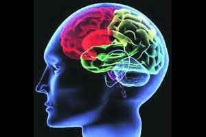 ‘फोर जी’ तंत्रज्ञान मेंदू व मज्जासंस्थेस धोकादायक