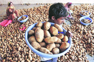 थकबाकीदार मोहन इंडियाच्या १२६ कोटींच्या मालमत्तेवर जप्तीचा विशेष न्यायालयाचा आदेश