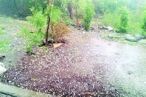 उस्मानाबादेत पुन्हा गारपीट उस्मानाबादेत पुन्हा गारपीट